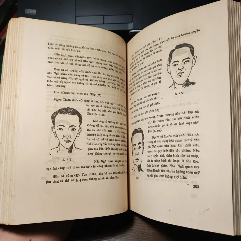 Nhân Tướng Học - Hy Trương 1034622