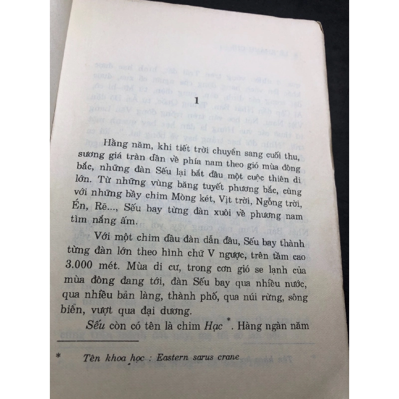 Đàn sếu lưu lạc 1994 mới 60% ố bẩn Lê Khánh Chi HPB0906 SÁCH VĂN HỌC 915663