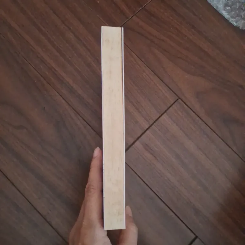 Tâm can - sói xám mọc cánh 706333