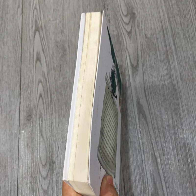 Thuyền trưởng tuổi 15 1021632