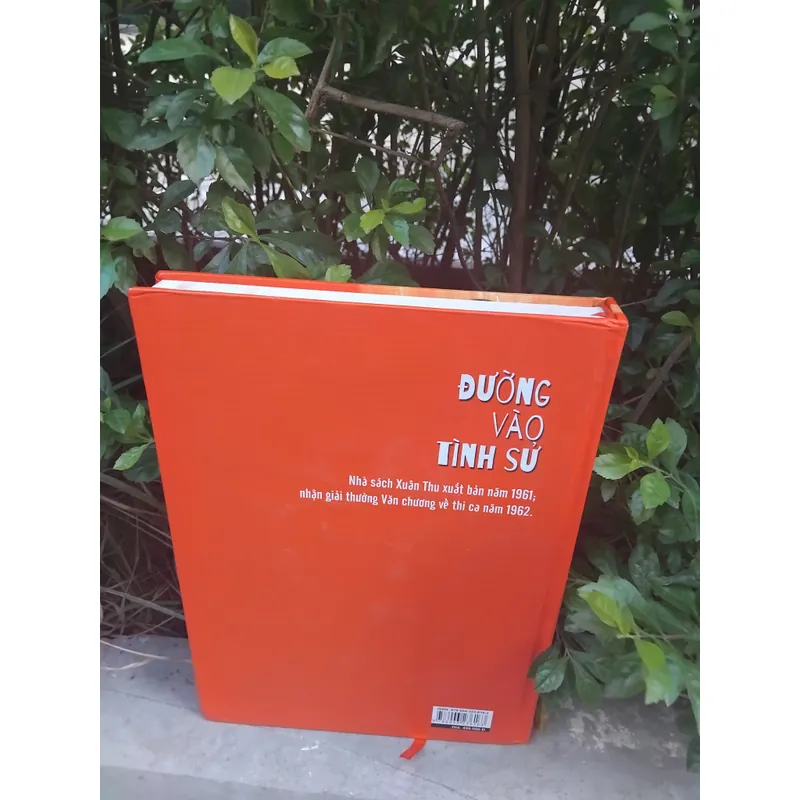 Đường vào tình sử thơ Đinh Hùng  731907