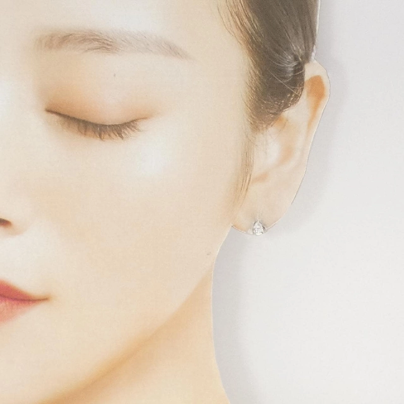 PT900/PT950 Bông tai kim cương 0.36CT - Hàng hiệu Chính hãng 868880