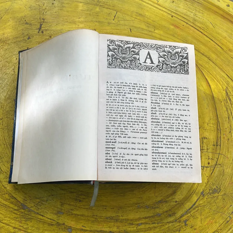 TỪ ĐIỂN ANH - VIỆT ENGLISH- VIETNAMESE DICTIONARY  701214
