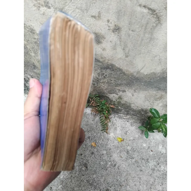 Tâm sự tướng lưu vong - hồi ký Hoành Linh Đỗ Mậu  1019162