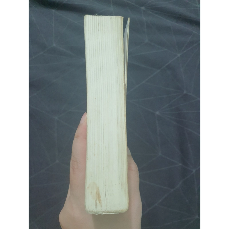 "Từ bi thành" - Đinh Mặc 471372