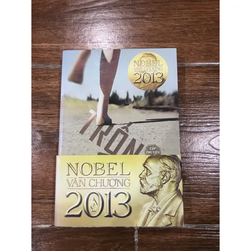 Trốn chạy - Alice Munro (6) 781619