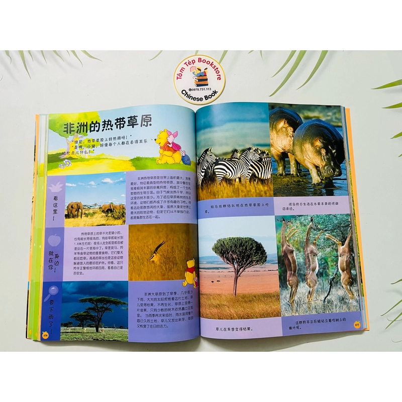Winnie the Pooh Bách khoa thư đầu tiên cho bé- Tiếng Trung 478979
