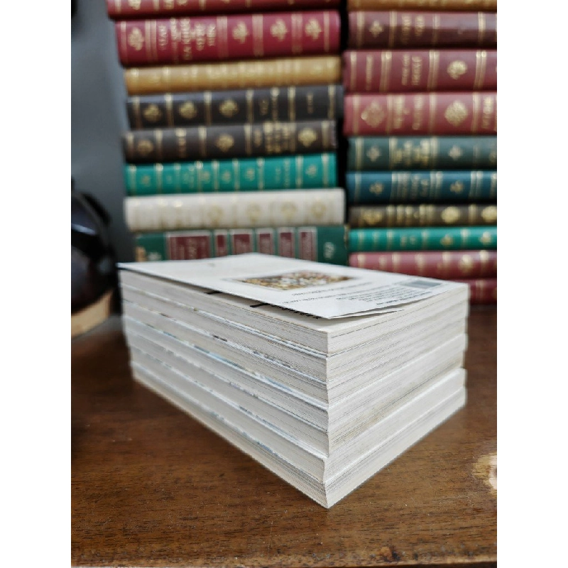 TRUYỆN TRANH NƯỚC MẮT THÁNH NỮ 378488
