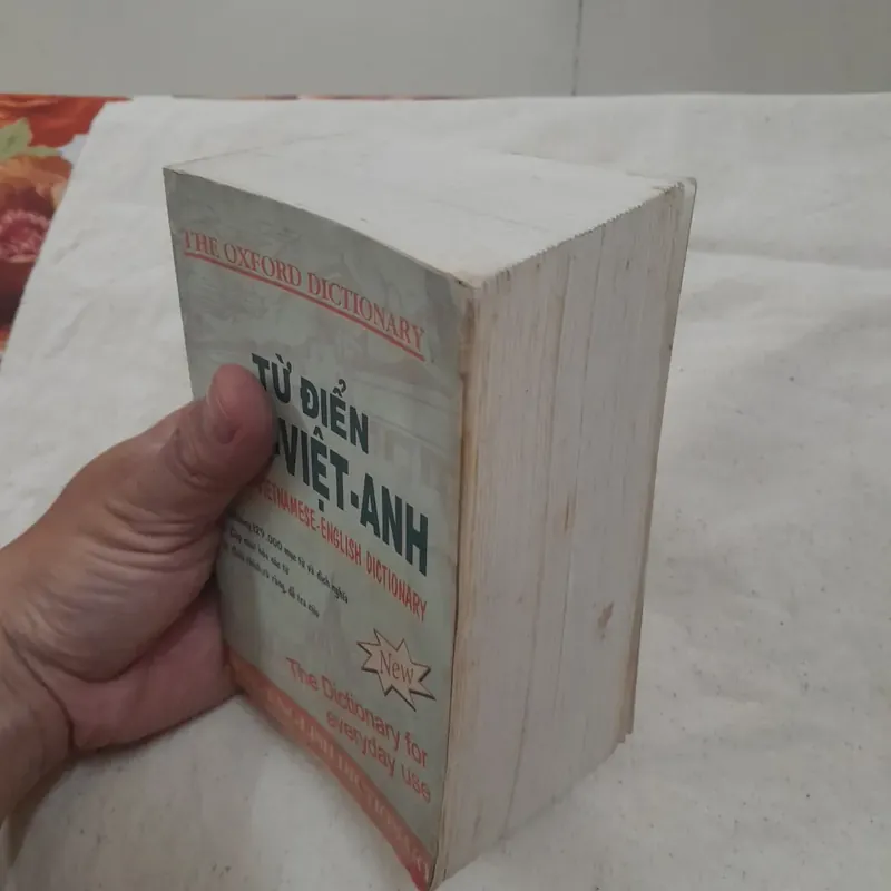 Từ điển Anh Việt Anh. Tác giả Quang Minh. 129.000 từ 593070