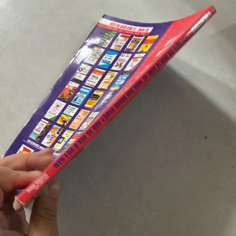 Xây dựng mô hình tổ chức kế toán cho doanh nghiệp nhỏ và vừa Việt Nam 727426