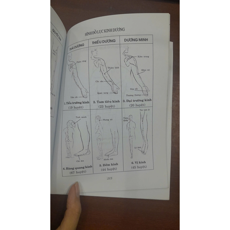 TÂM THIỀN LẼ DỊCH XÔN XAO 291099