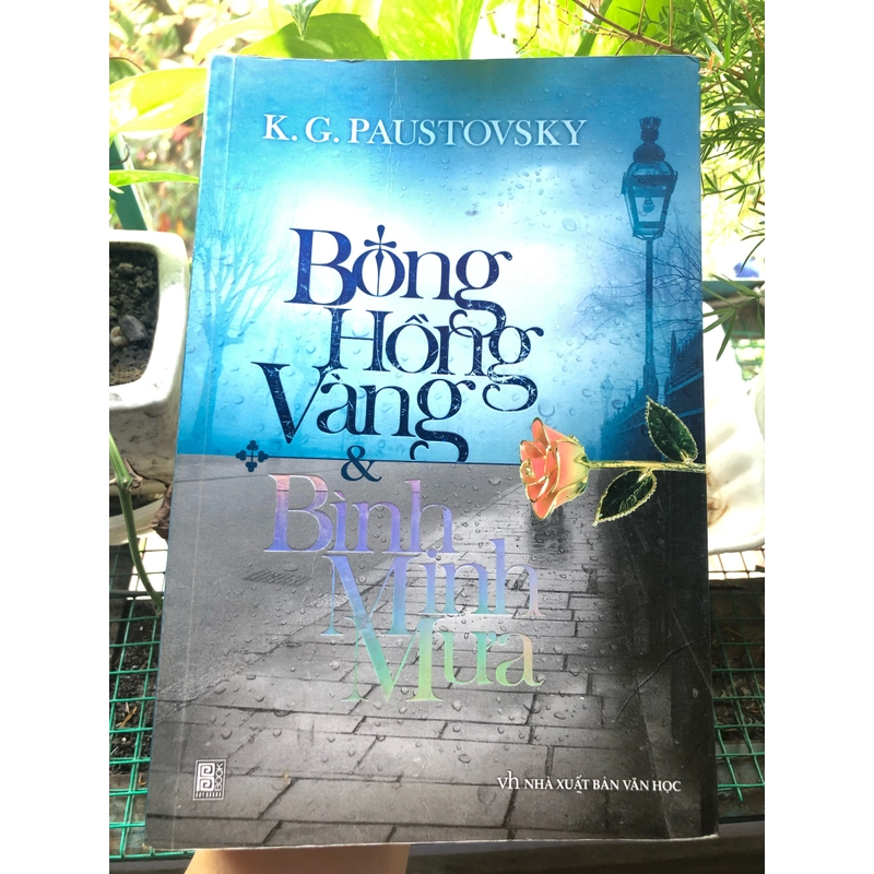 Bông hồng vàng và Bình minh mưa (2010) 326365