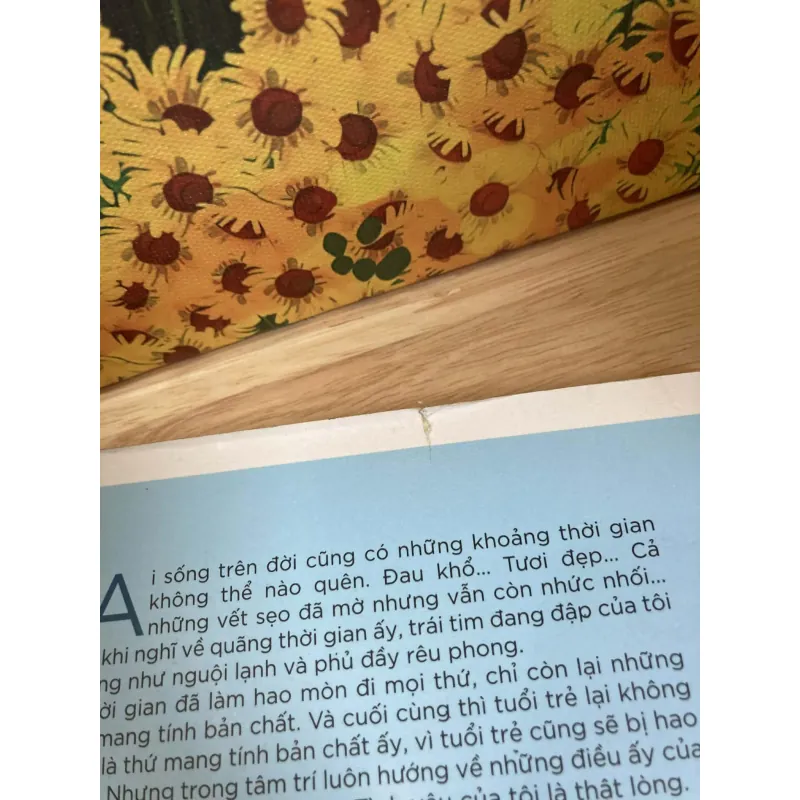 Chiếc Thang Cao Màu Xanh - Gong Ji Young 936275