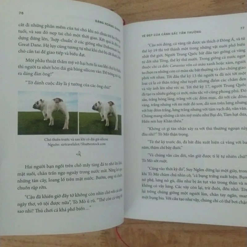 Vẻ đẹp của cảnh sắc tầm thường - cũ ( bìa cứng)- Đặng Hoàng Giang 1007163