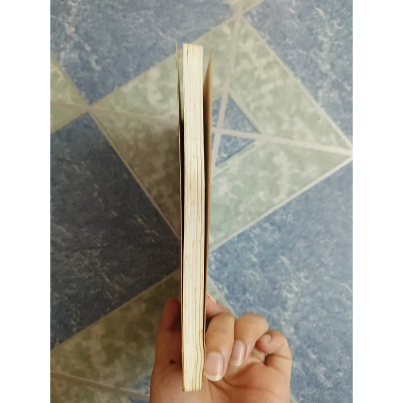 Đạo sĩ Trung Quốc thời cổ - Đảng Thánh Nguyên & Lý Kế Khải 571965