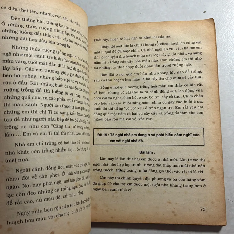 50 bài văn hay lớp 6 800767