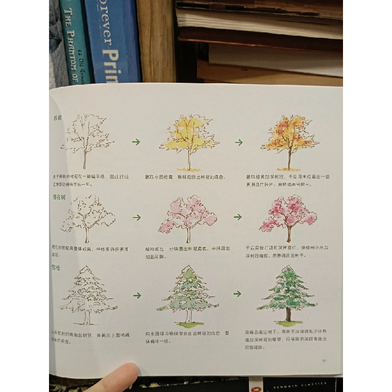 水彩入门必学500例: 淡彩篇 - 飞乐鸟 著 450465