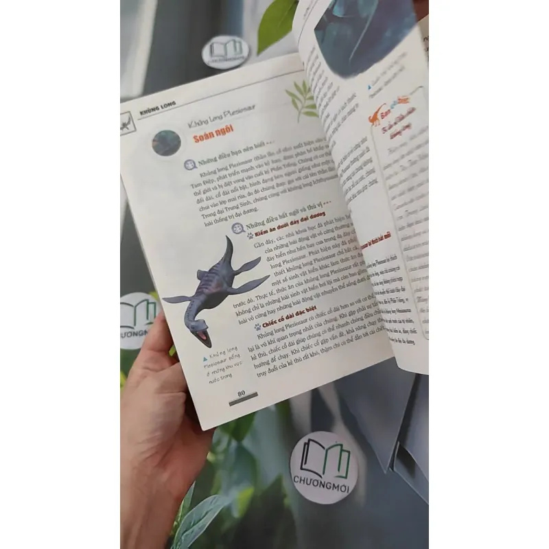 Khám phá bí ẩn thế giới tự nhiên: Khủng long 1018834