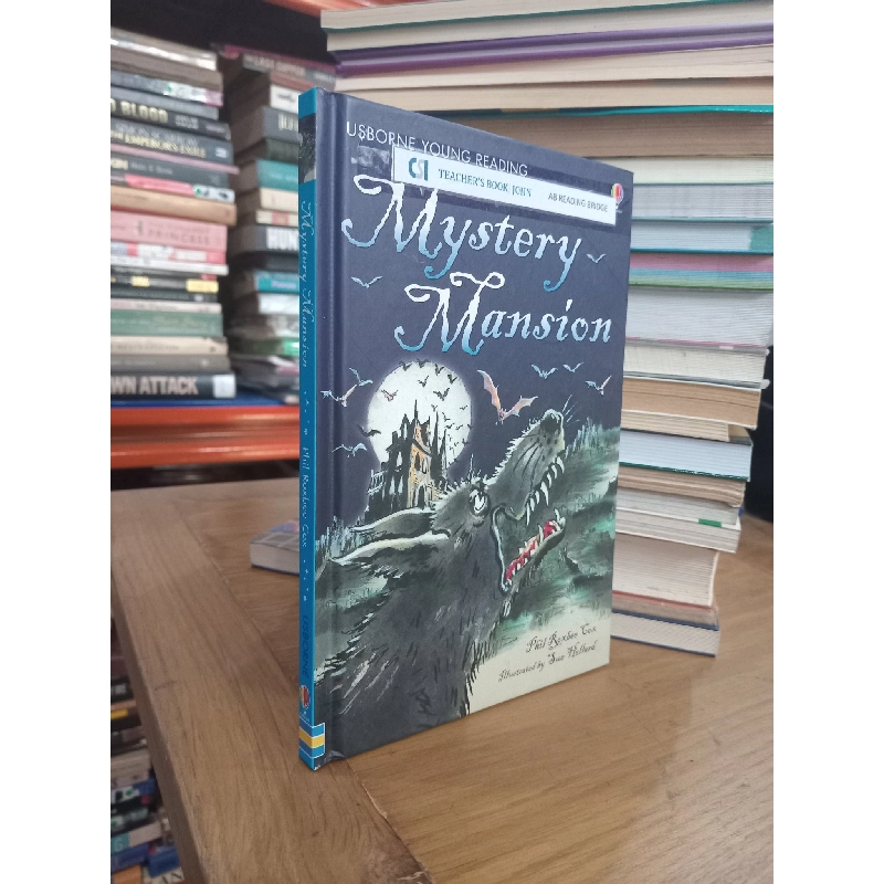Mystery Mansion (Phil Roxbee Cox) - Usborne Young Reading 1010059