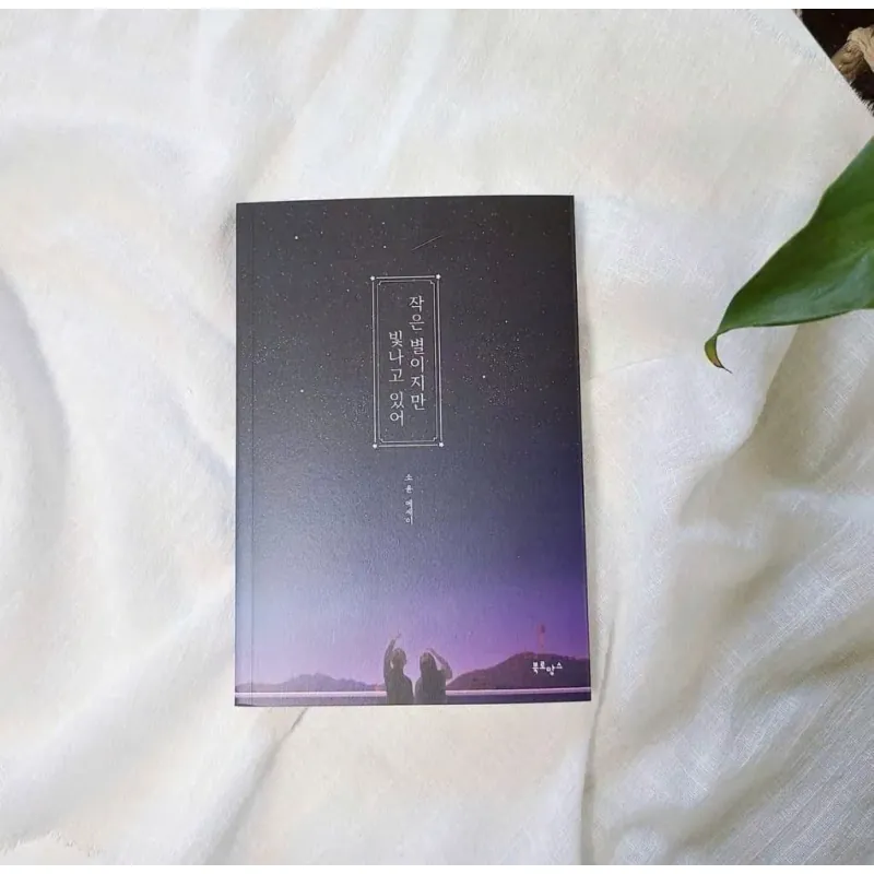 Một Ngôi Sao Nhỏ Cũng Đủ Thắp Sáng Bầu Trời Đêm 작은 별이지만 빛나고 있어 788167