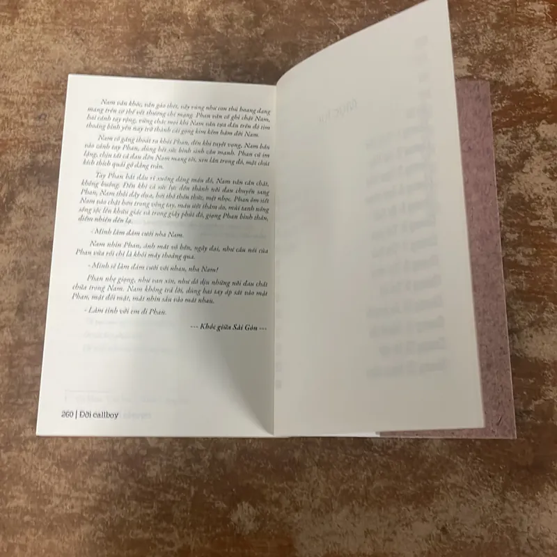 ĐỜI CALLBOY- NGUYỄN NGỌC THẠCH 675393