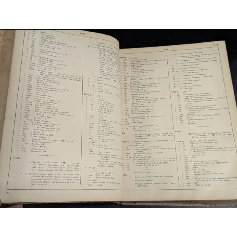 Dictionnaire vietnamien chinoiis francaise -Eugène 719146