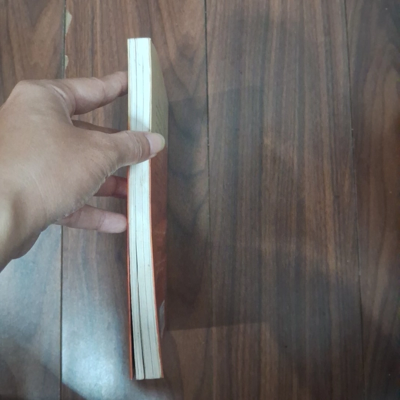 Nhà giả kim  505603