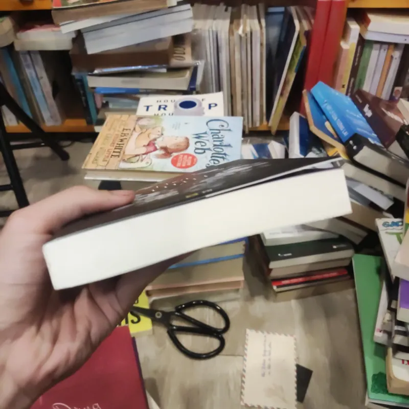 Độc tình - Lục Xu 975198