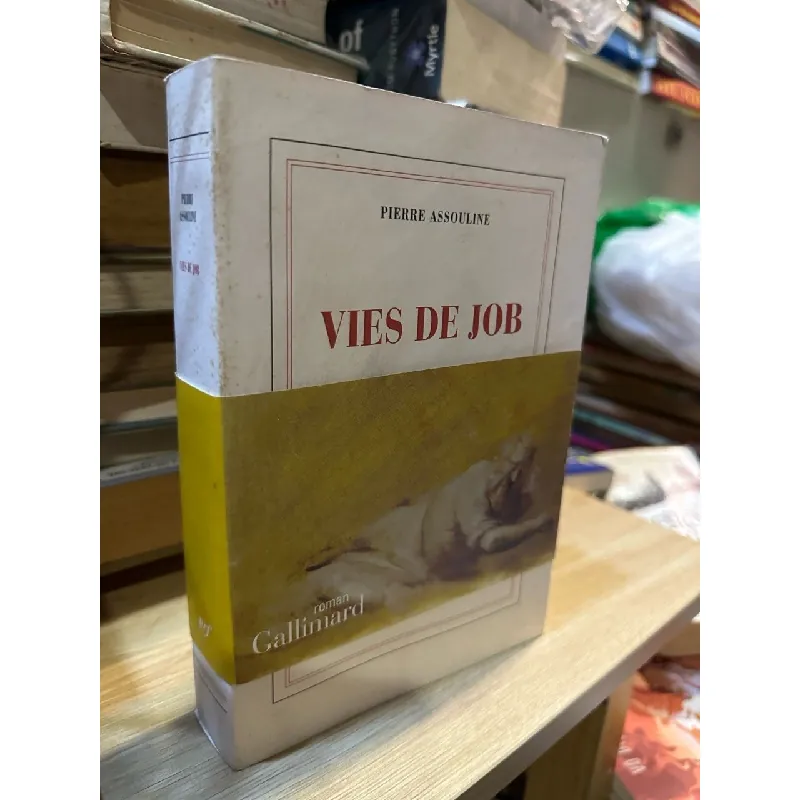 Vies De Job - Pierre Assouline 591316