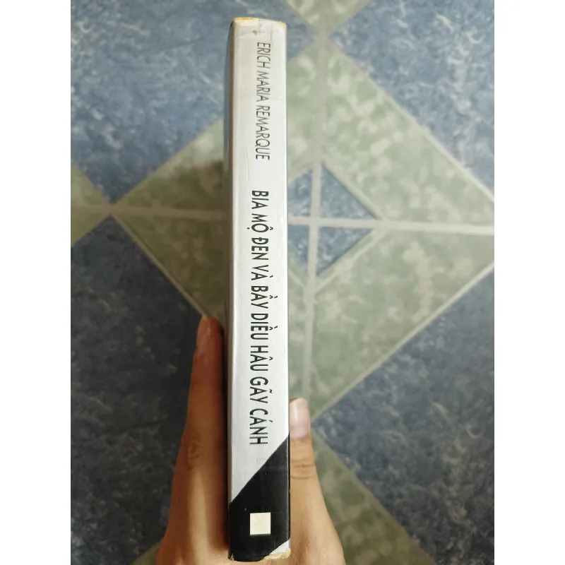 Bia mộ điên và bầy diều hâu gãy cánh - Erich Maria Remarque 571994