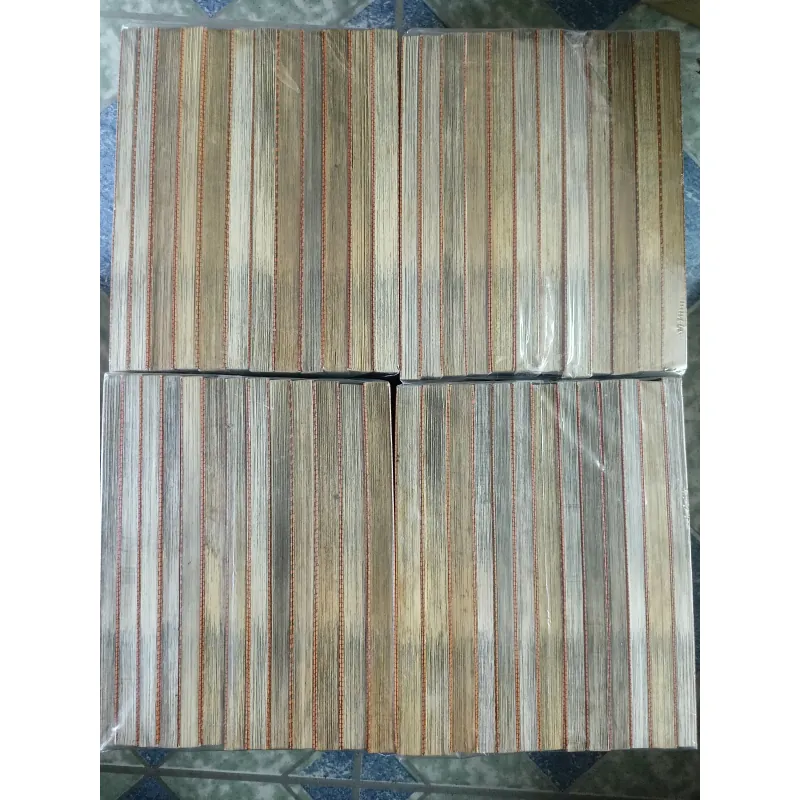 Trọn bộ 105 tập Conan - Gosho Aoyama 726739