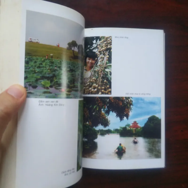 [Sách Văn Hóa] Hưng Yên - Vùng Phù Sa Văn Hóa - Việt Nam Các Vùng Văn Hóa 994943