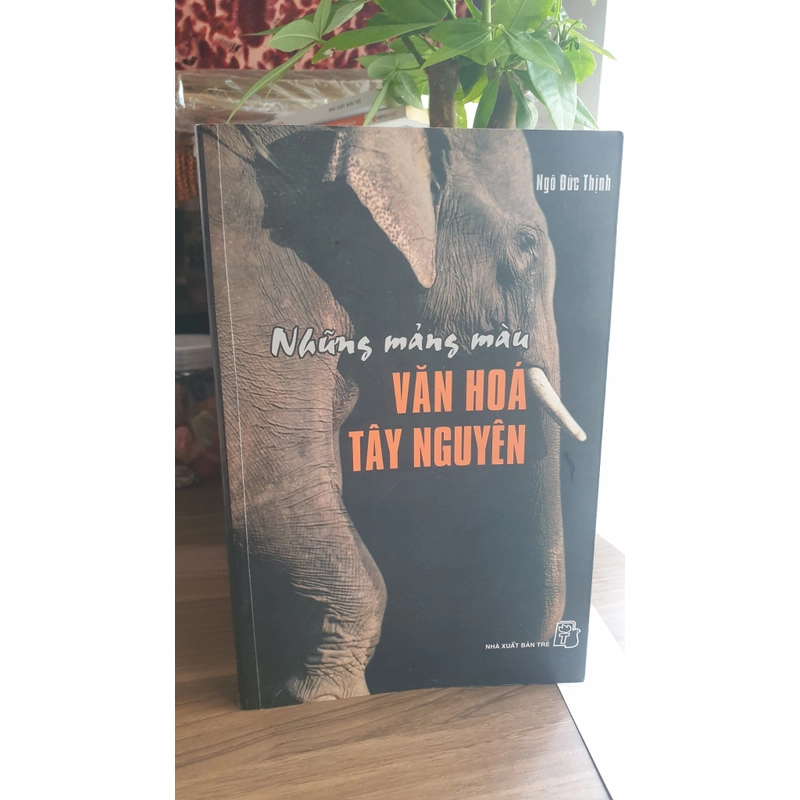 Những mảng màu văn hóa Tây Nguyên 493811