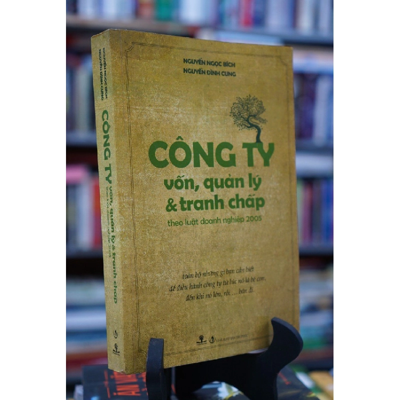 Công Ty vốn, quản lý & tranh chấp - Nguyễn Ngọc Bích, Nguyễn Đình Cung 127953