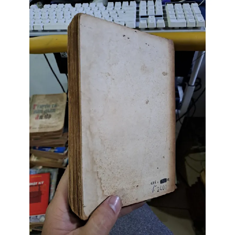 Đảo hoàng yến mới 70% ố chóc bìa 1989 Văn học nước ngoài HCM1709 559874