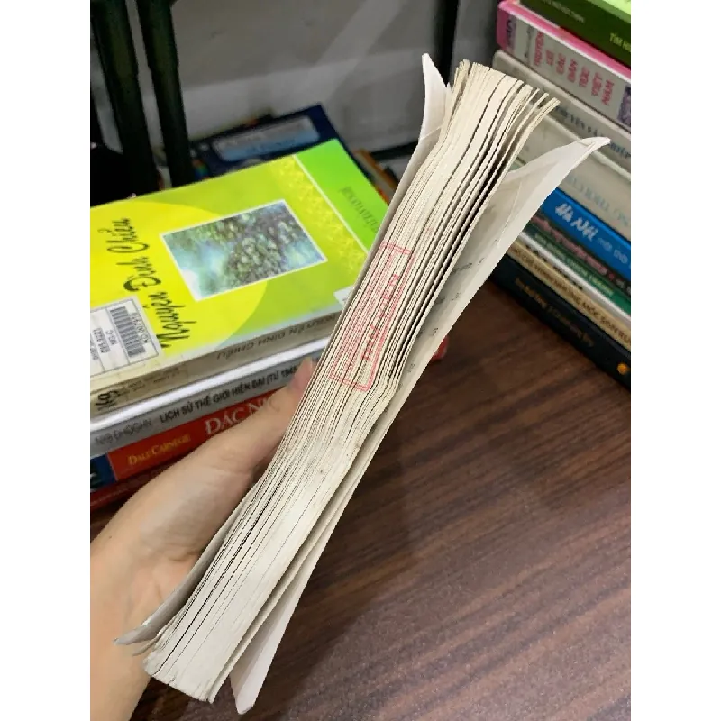 Lịch sử sử học Việt Nam – Nhiều tác giả 591469