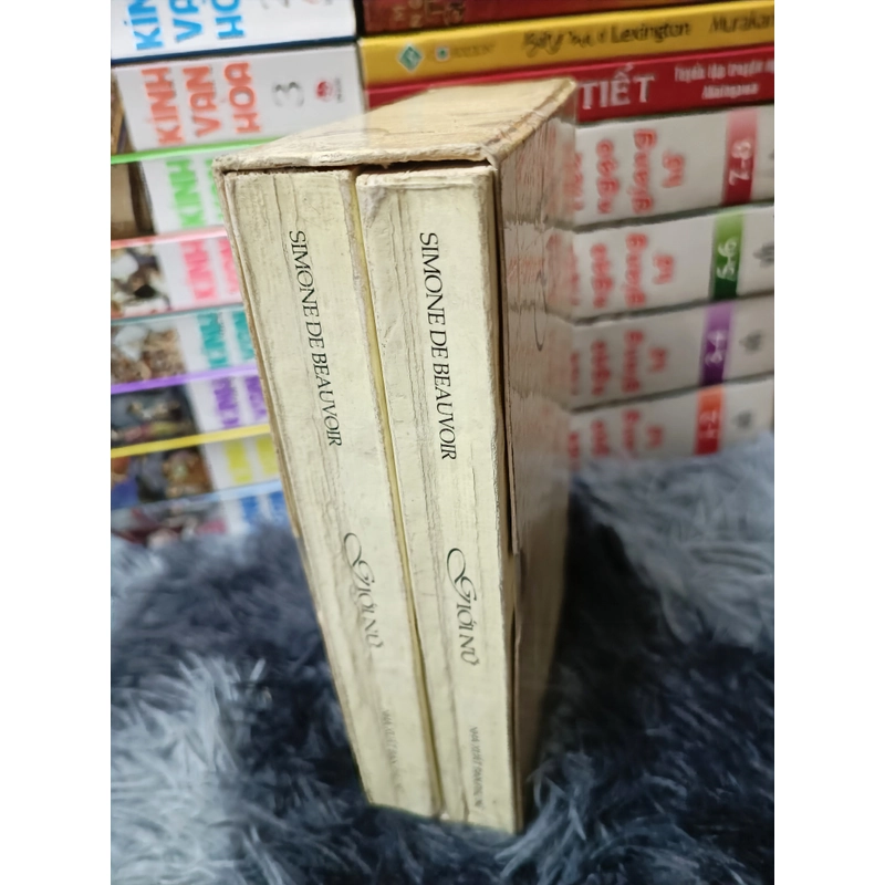 Giới nữ (Simonede Beauvoir) 446292