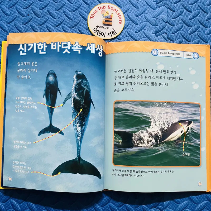 FULL SET NATIONAL GEOGRAPHIC KIDS – TIẾNG HÀN 25 CUỐN  706368