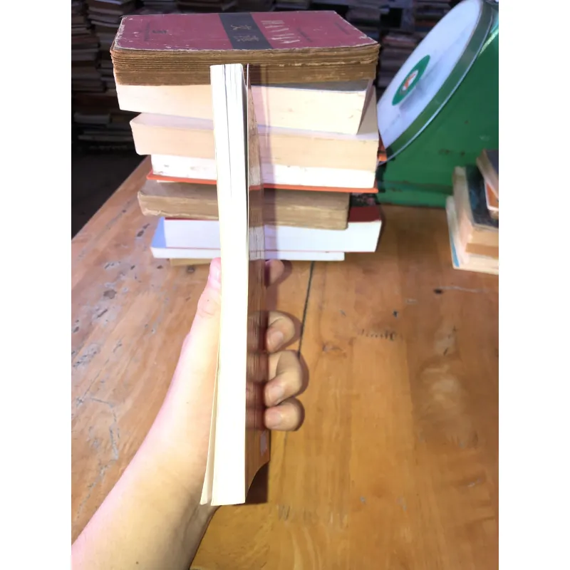 Nhà Nguyễn Chính Chúa Mười Ba Vua- Thi Long 958000