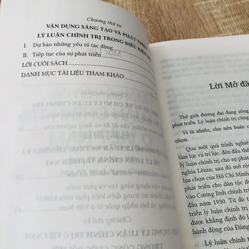 MỘT SỐ VẤN ĐỀ CHÍNH TRỊ Ở VIỆT NAM 975802