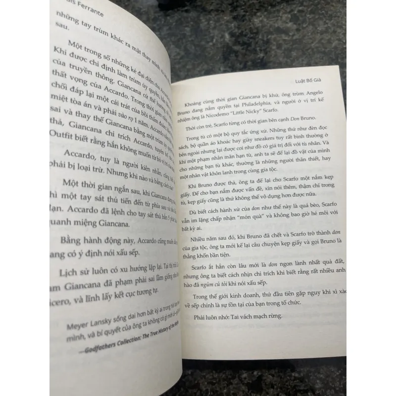 Luật bố già Louis Ferrante 720179