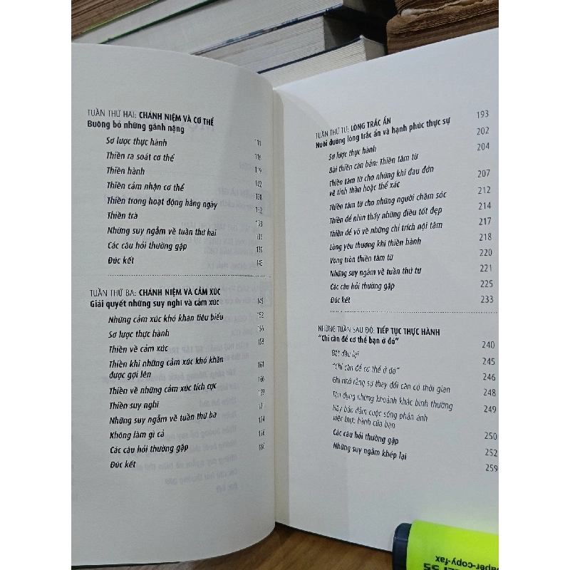 Hạnh phúc đích thực: Sức mạnh của thiền - Sharon Salzberg (Tố Khanh dịch) 455387