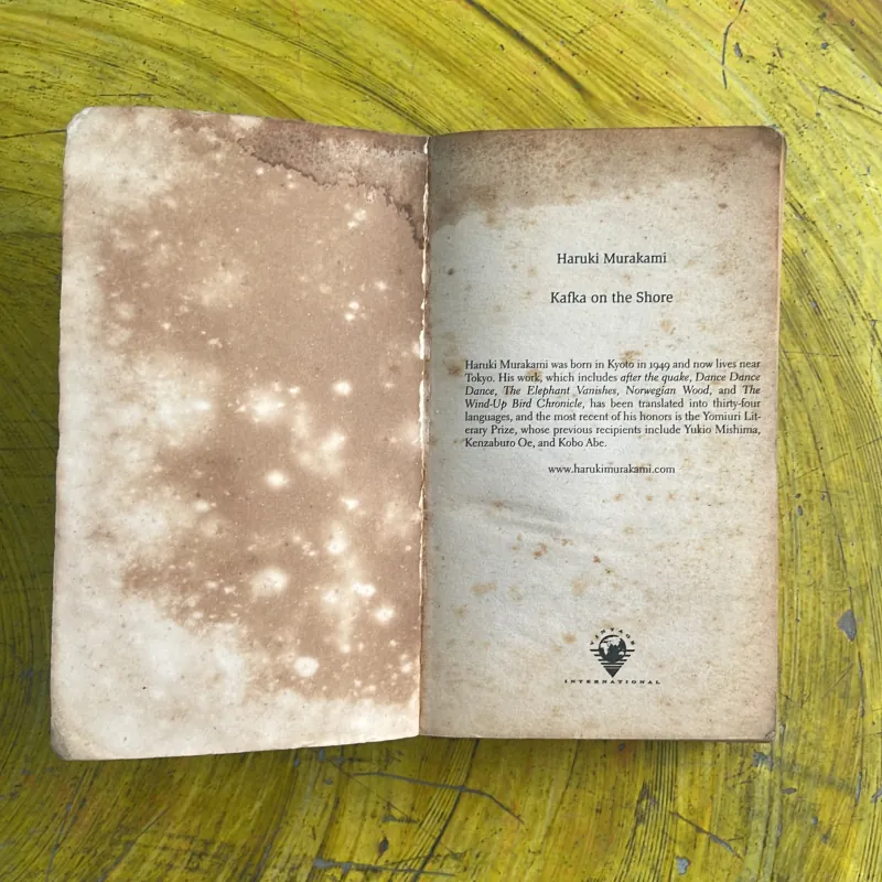 KAFKA ON THE SHORE - HARUKI MURAKAMI 1029152