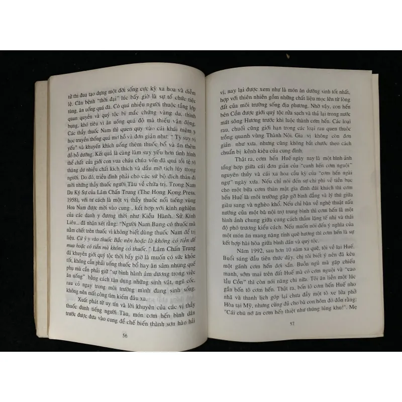 Huế- Chuyên khảo về Huế (Trần Khiêm Đoàn) 1025326