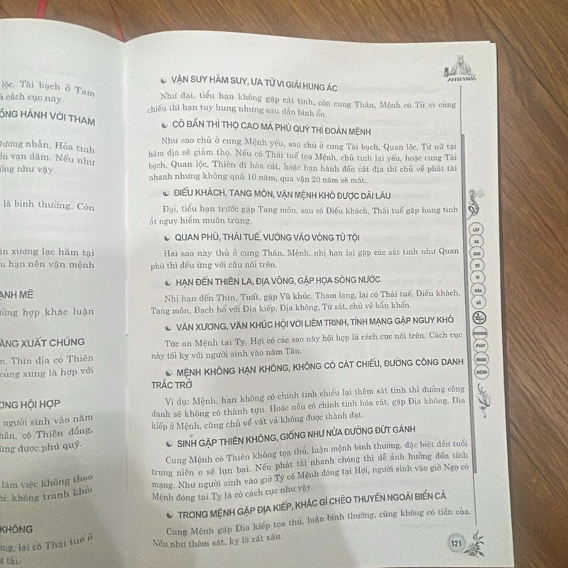Lập và giải tử vi đẩu số phan tử ngư 463769