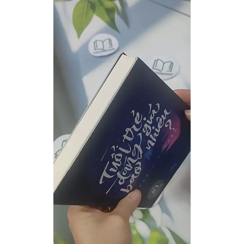 Tuổi Trẻ Đáng Giá Bao Nhiêu 705556