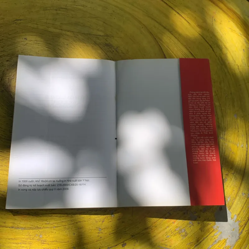 VIÊM GAN VIRUS B, D, C, A, E, GB CƠ BẢN, HIỆN ĐẠI & CẬP NHẬT 738380