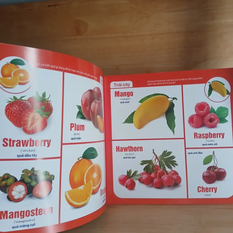 Tiếng Anh Bằng Hình (Bộ 4 Cuốn) - Tịnh Lâm biên soạn 673856