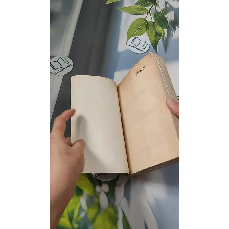 [XƯA] Đỉnh Đồi (1994) - Irwin Shaw 776066