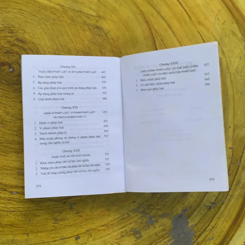 GIÁO TRÌNH LÝ LUẬN NHÀ NƯỚC VÀ PHÁP LUẬT 795394